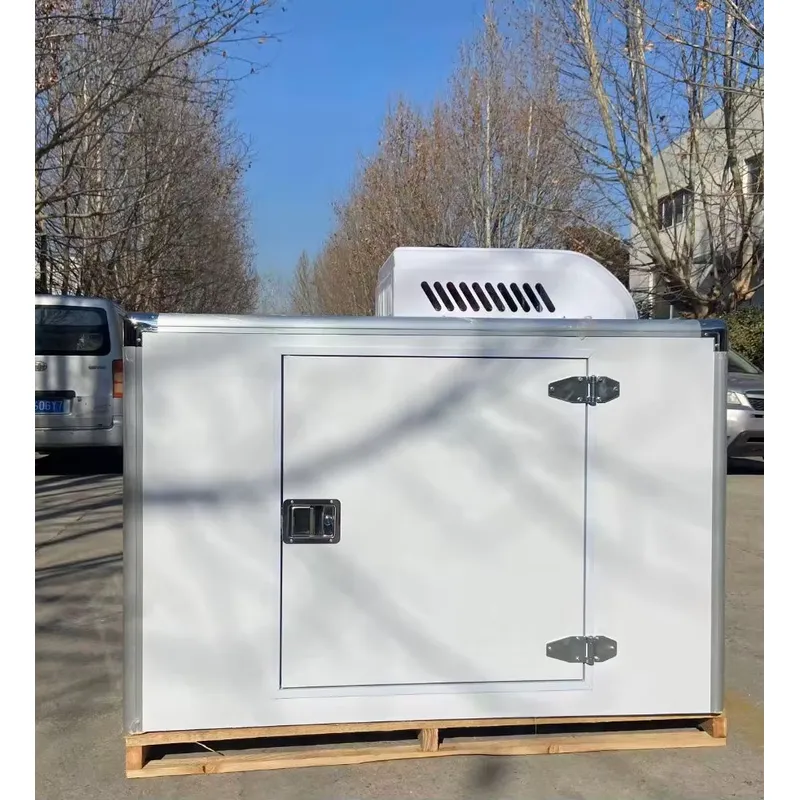 Food Storage Refrigerator - Горячая распродажа: Трехколесный электрический рефрижератор для