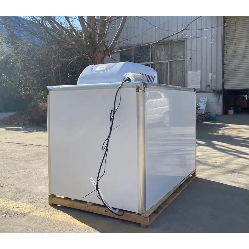 Горячая распродажа: Трехколесн – обзор и цена Food Storage Refrigerator